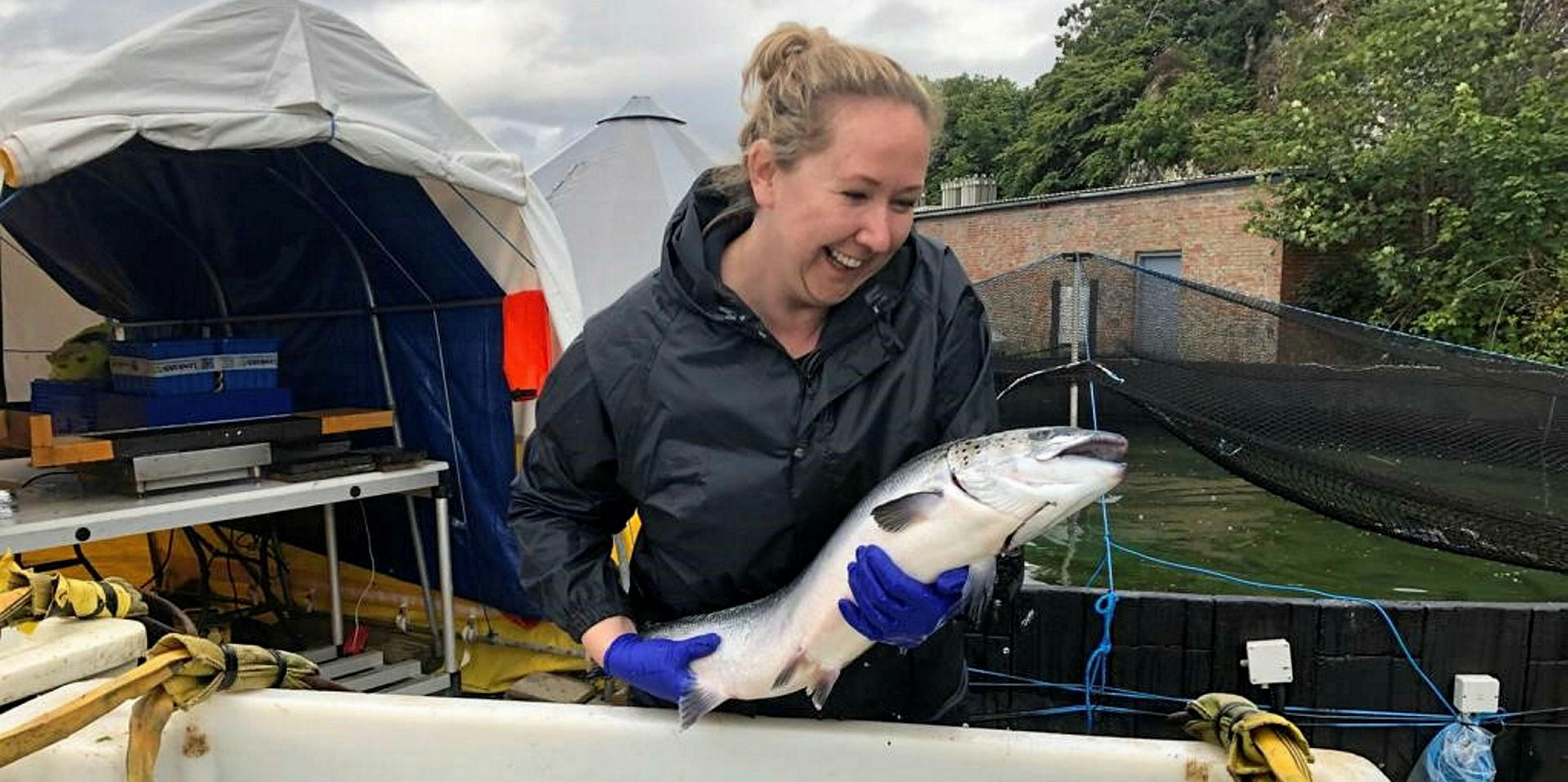 MSD Animal Health appoints new business unit director