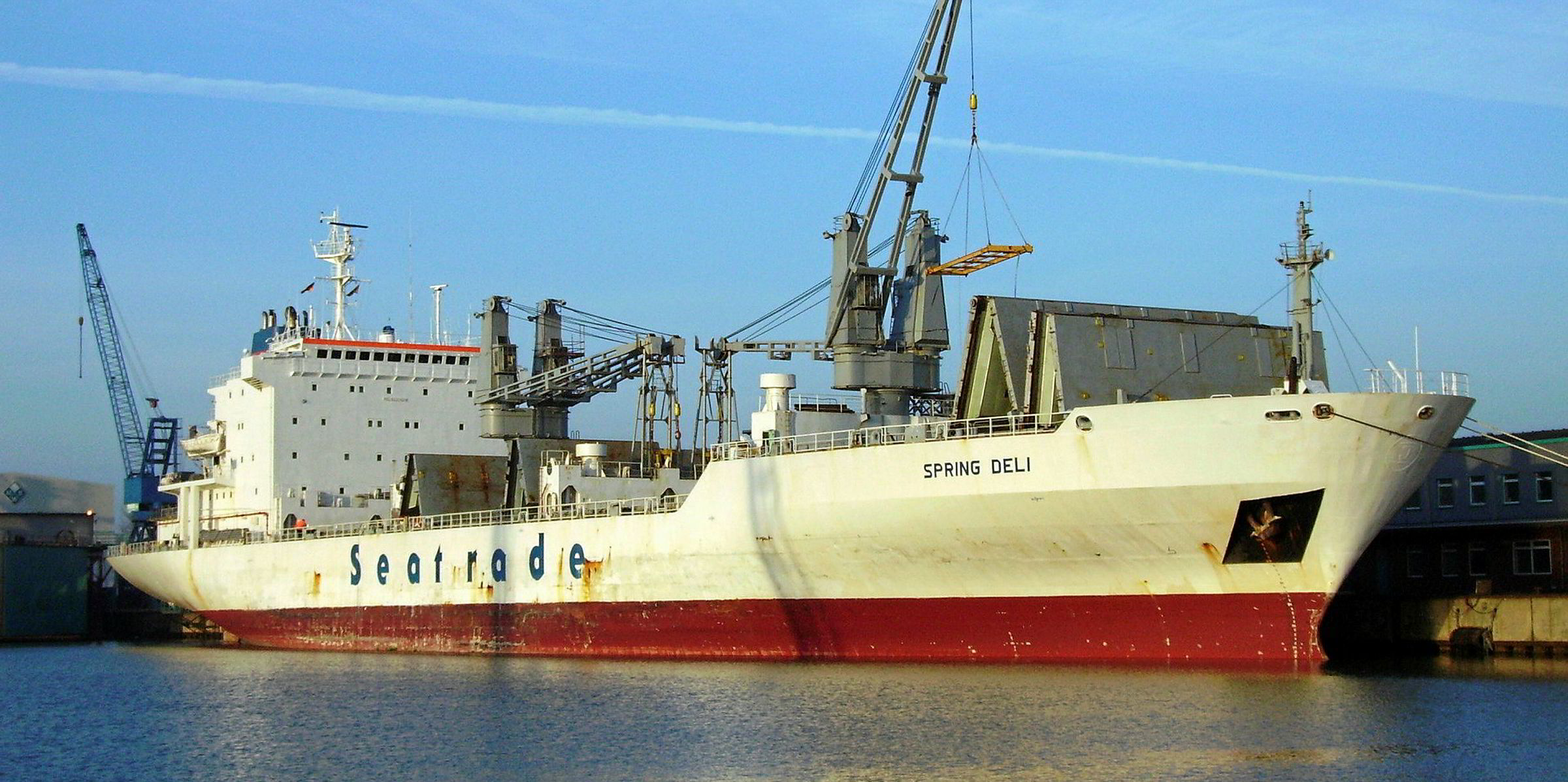 рефрижераторное судно николай коперник. судно данидин рефрижераторное. местонахождение судна данидин. Dunedin star судно. Vessel imo 8885200.