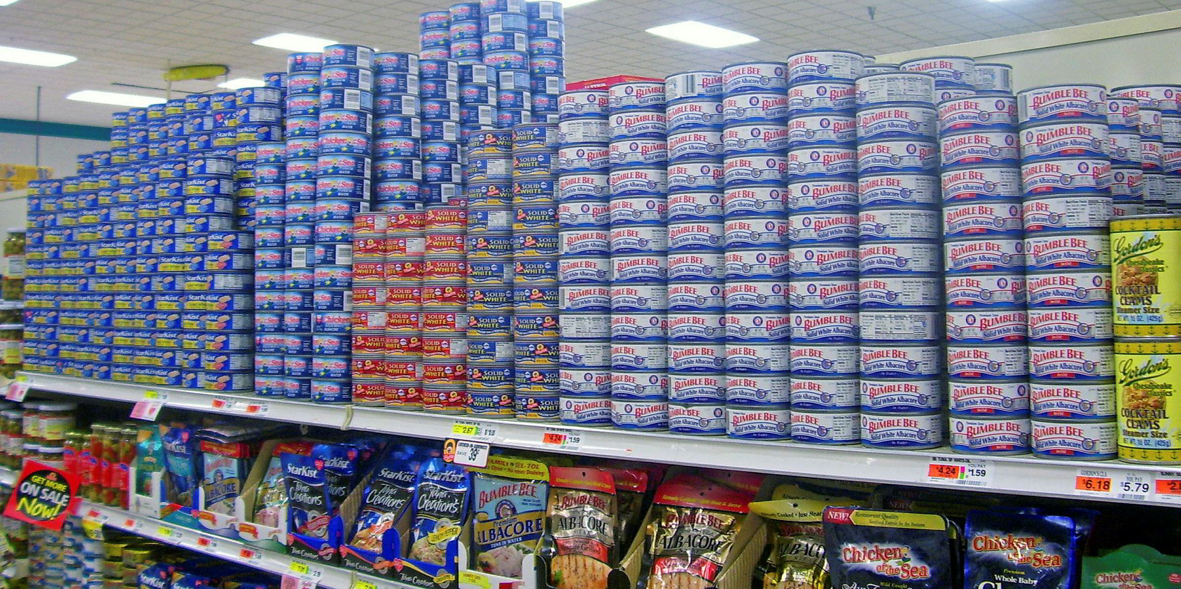 Which company sells the best canned tuna?