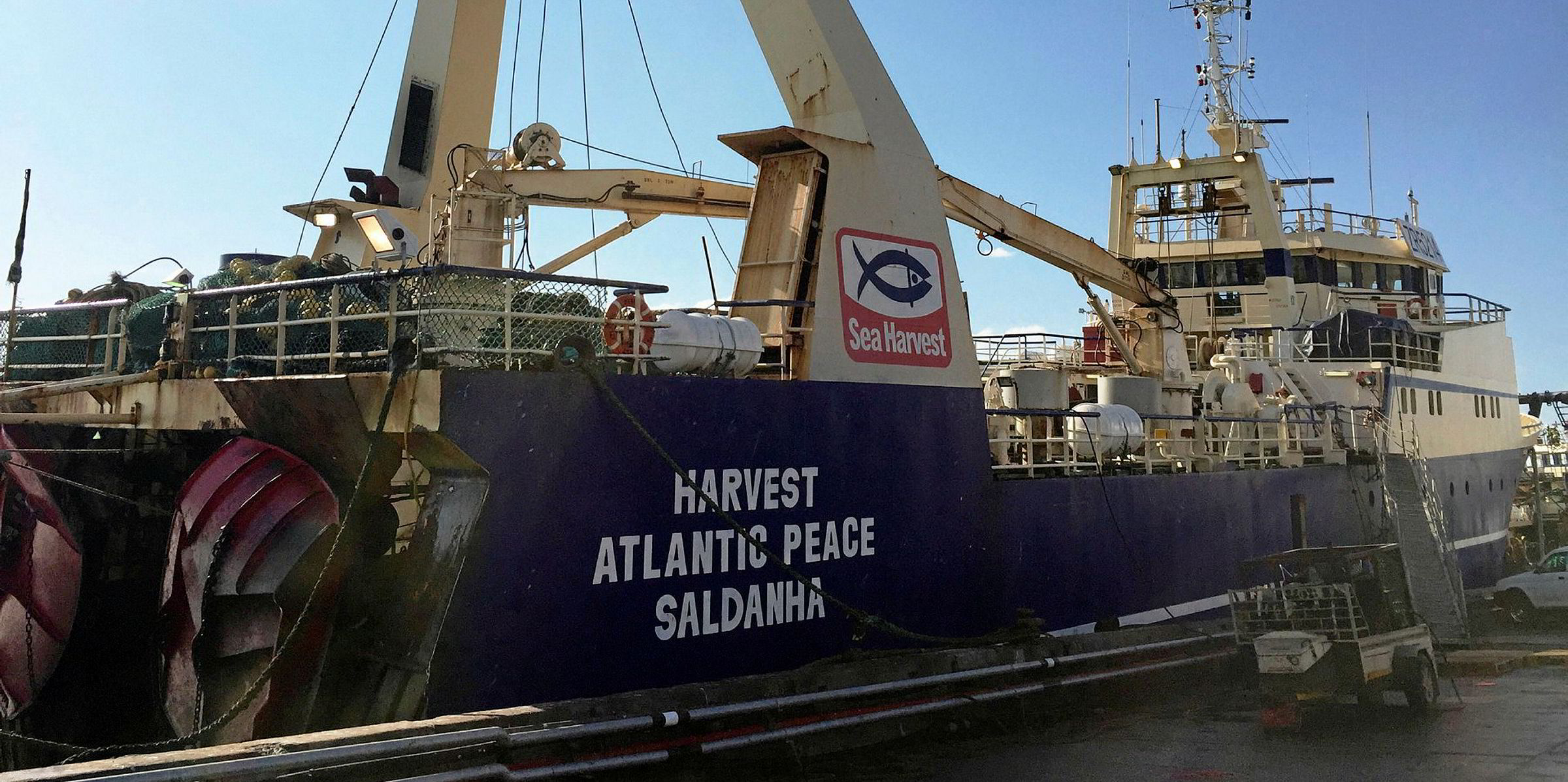 Sea Harvest's earnings suggest acquisitions are paying off | Intrafish