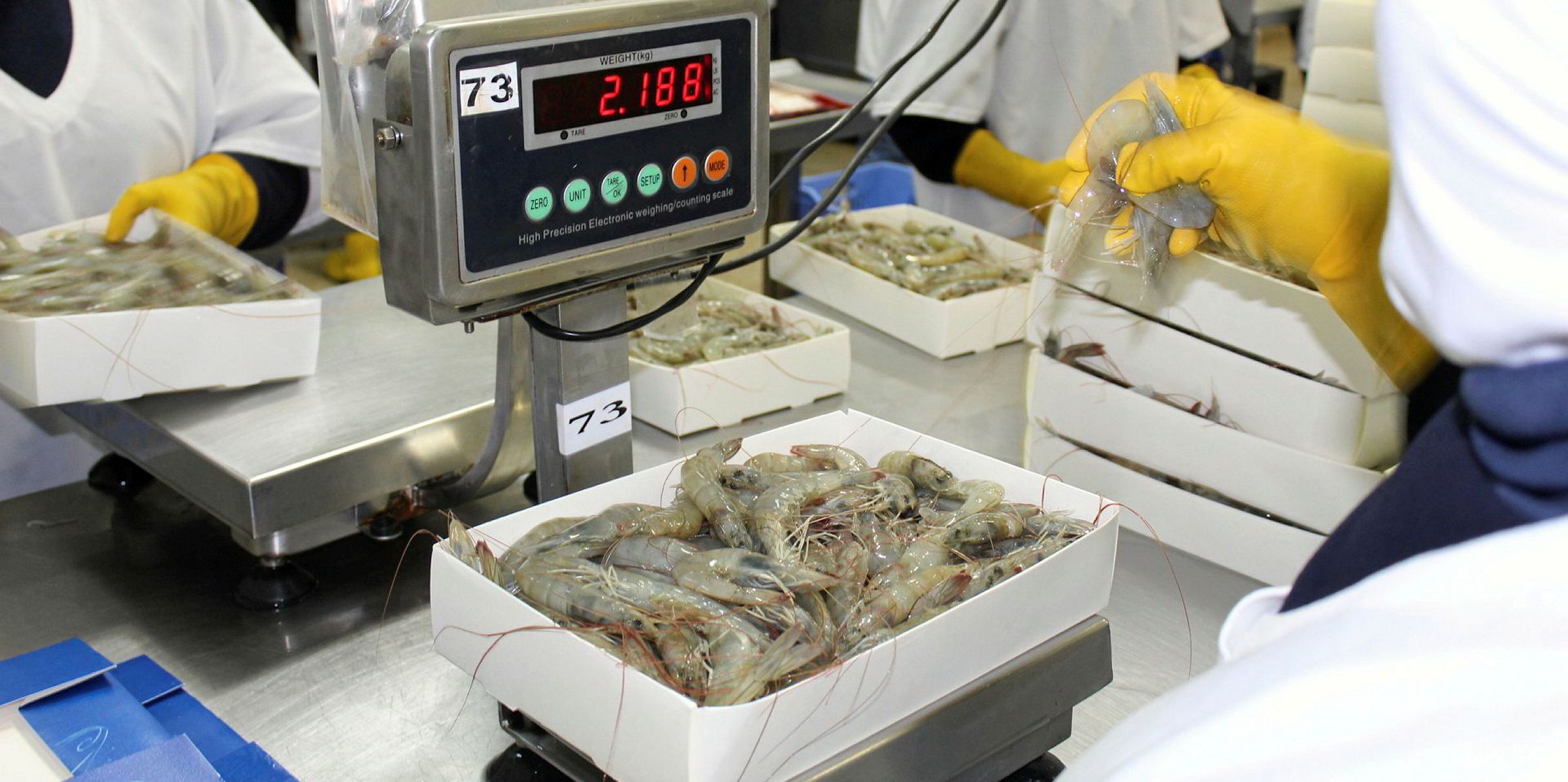 Ecuador shrimp production spikes in 2018 Intrafish