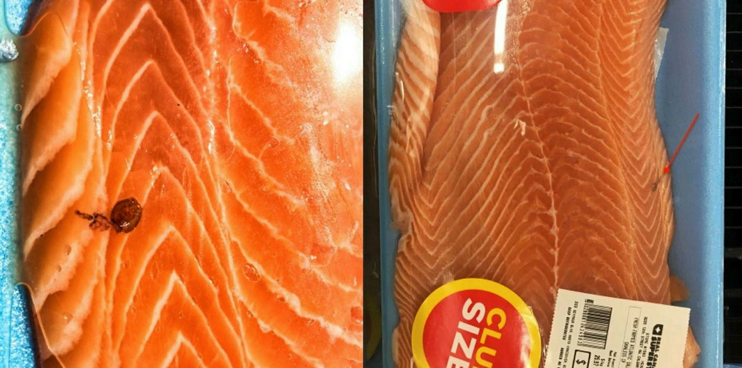 Antisalmon farm campaigner posts picture of sea lice on Loblaw salmon