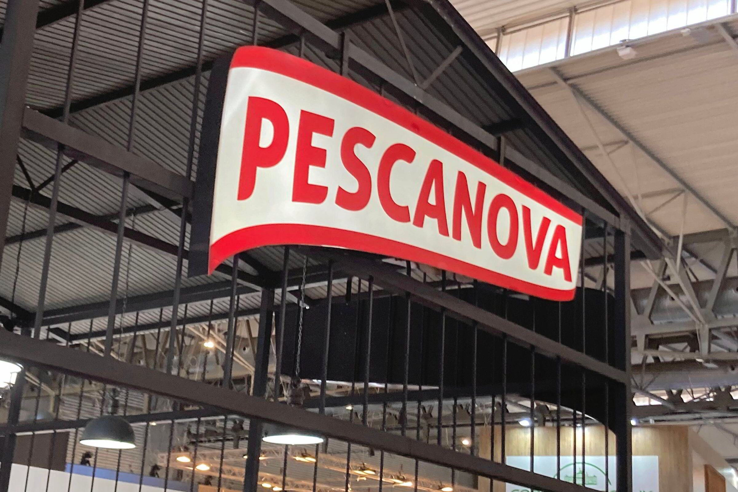 Pescanova Logo FIS Companies & Products Nueva Pescanova