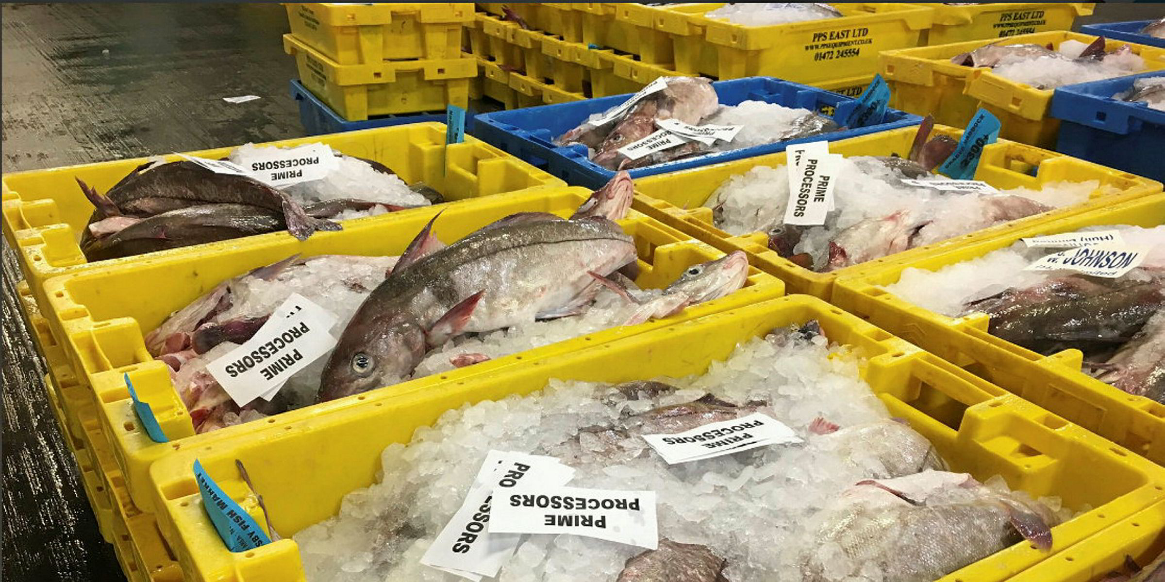 UK haddock market braces for Easter sales ‘storm’