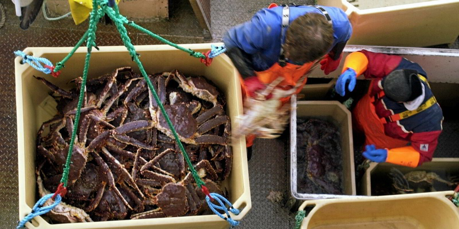 Norway sets 2021 quotas for king crab fishing