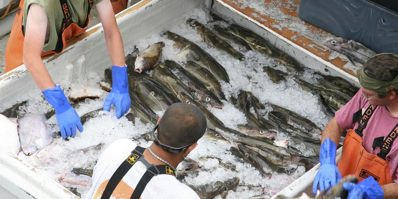 Is Electronic Monitoring Technology Better For The Fishing Industry 