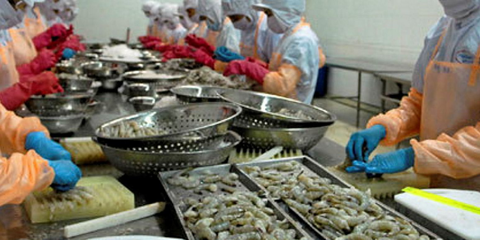 Vietnam shrimp export value drops to EU