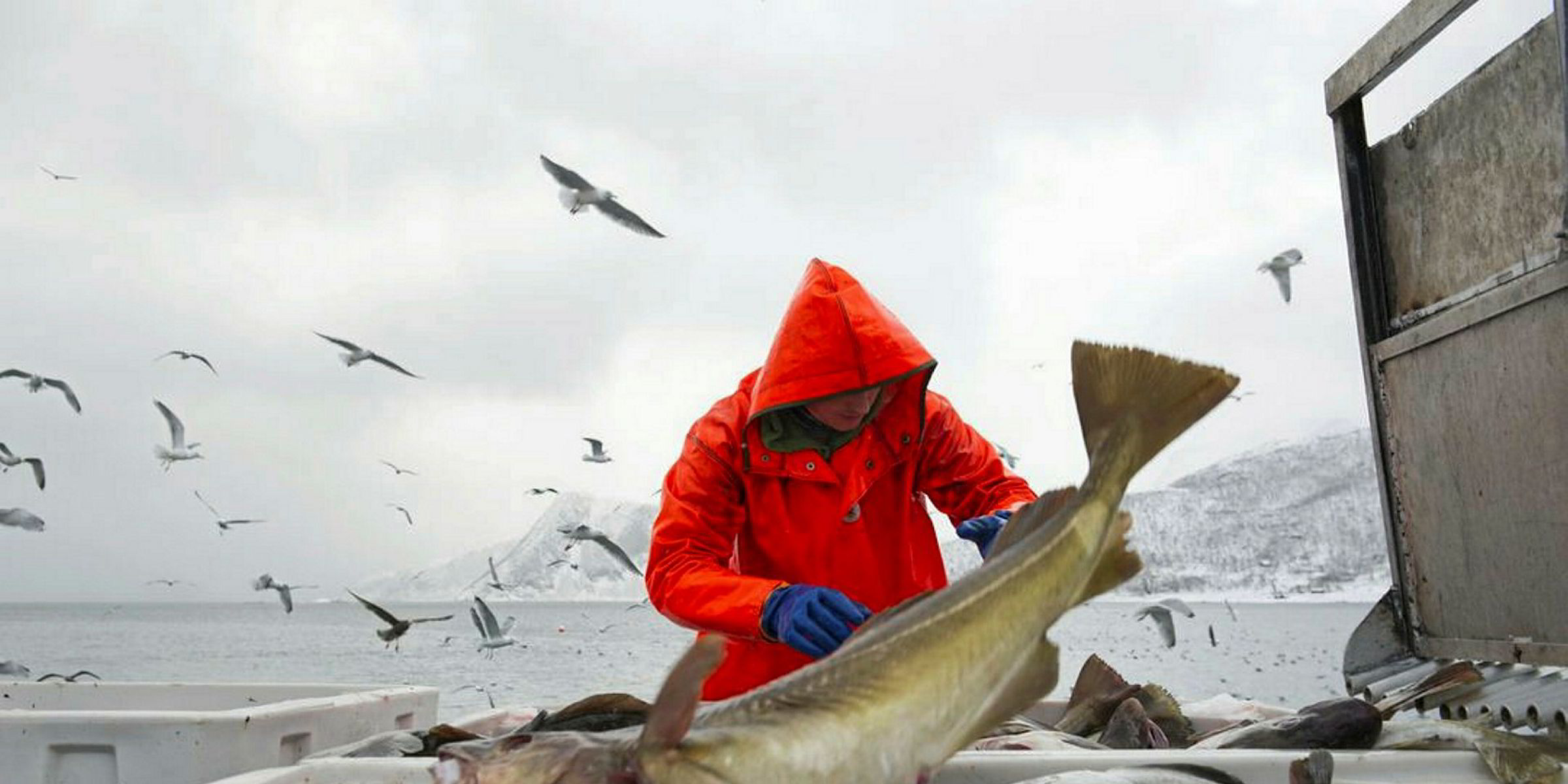 Russia, Norway set 2019 Barents Sea cod, haddock quotas | IntraFish
