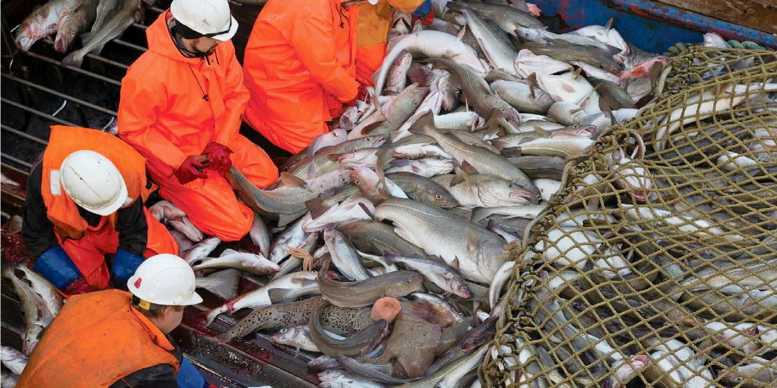 Why is Alaska's dominance in Japanese surimi market under threat?