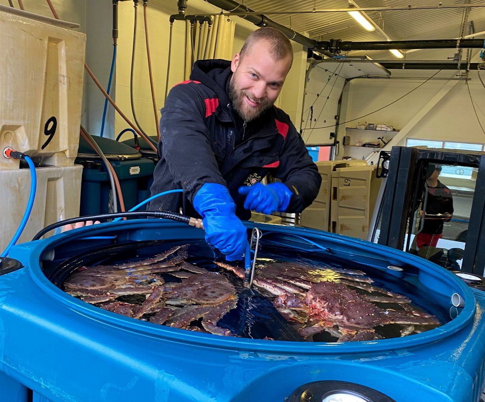 Norway king crab prices have doubled since last year, and buyers may be