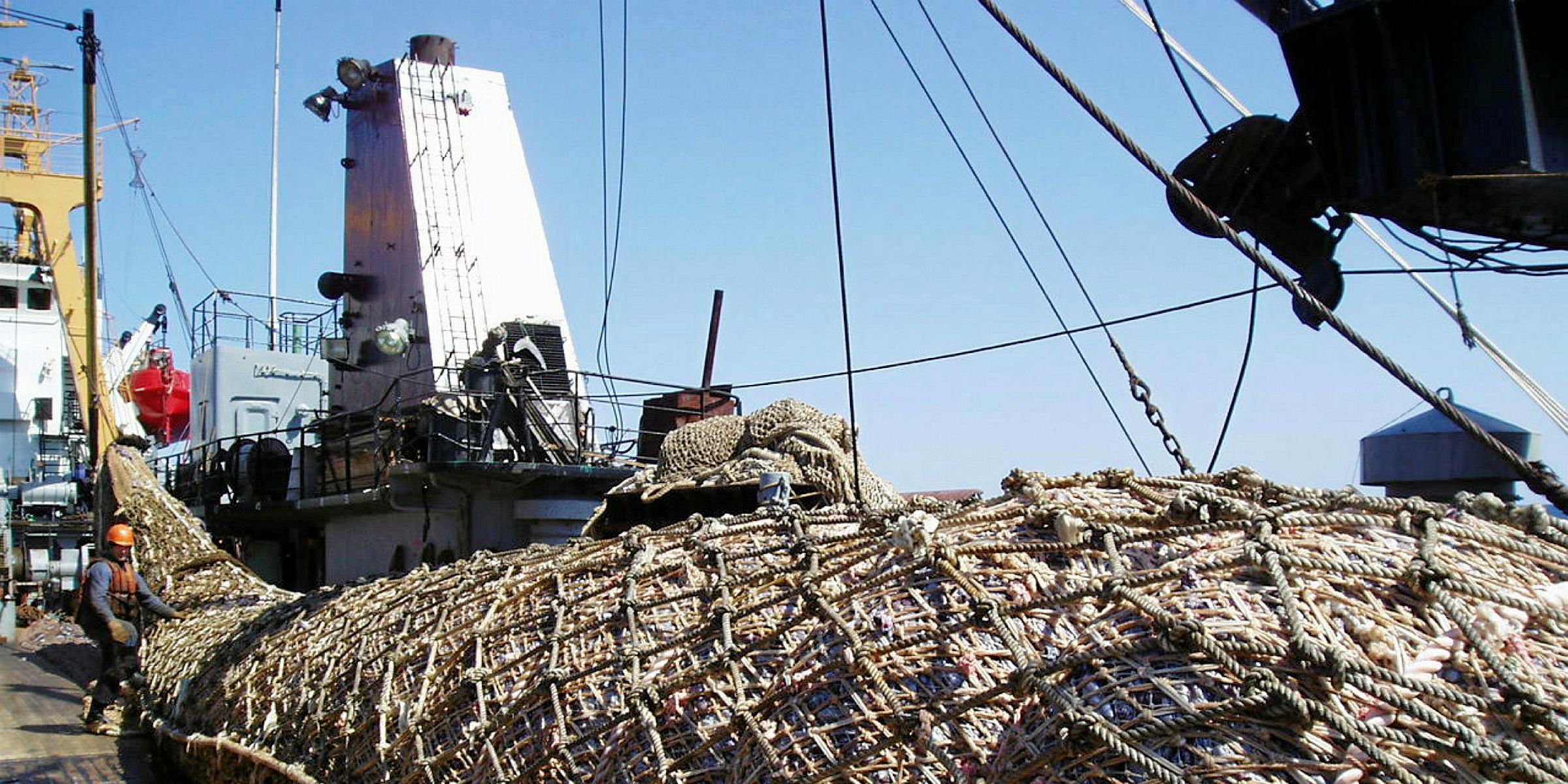 Forbes ranks Russia's top fishing companies