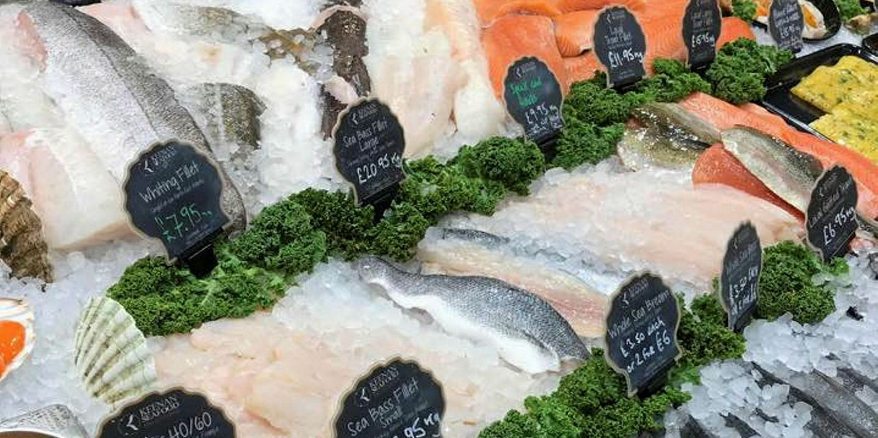 Irish firm lands Tesco fresh seafood counter deal