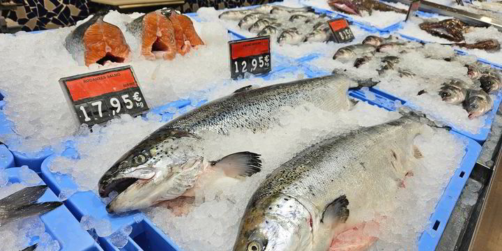 Buy Fresh Norway Salmon Fish 2-3kg Online - Shop Fresh Food on