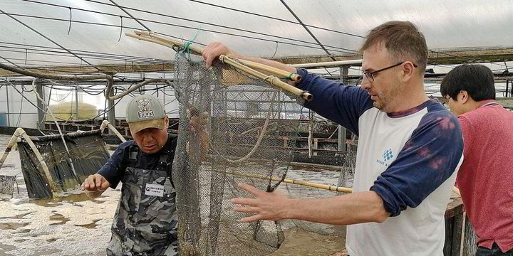 Ukraine war stalls Europe’s largest shrimp farm