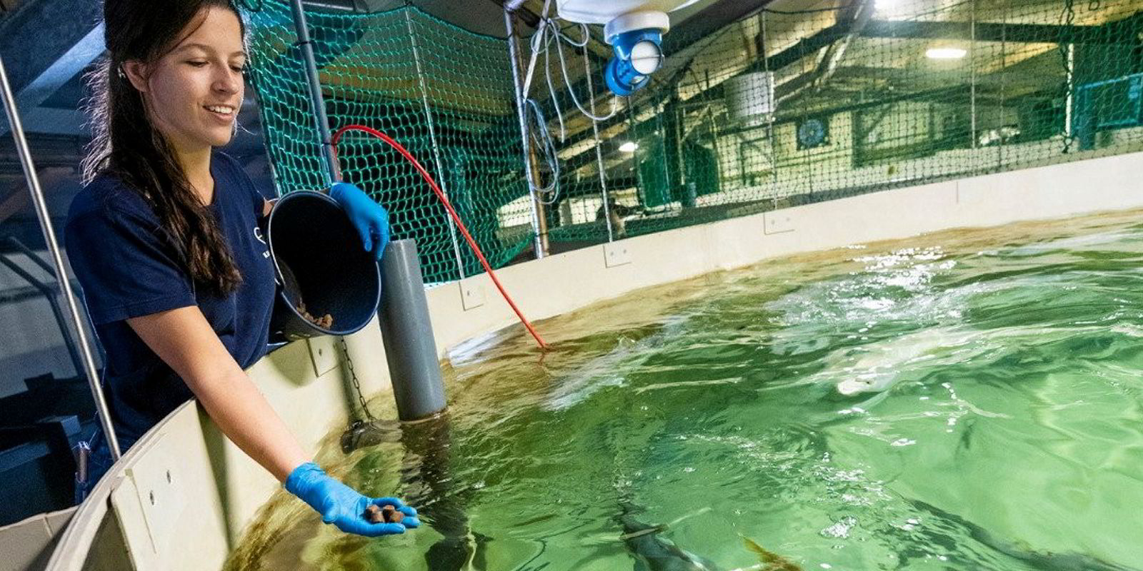 Not all of Maine's land-based aquaculture projects are flopping; these ...