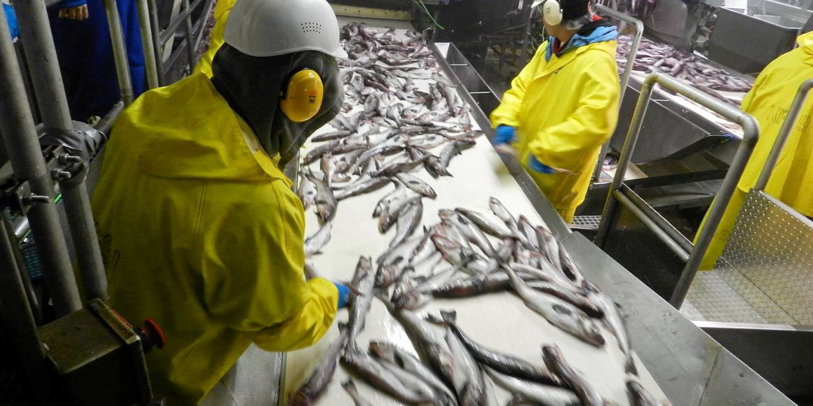 Trident, OBI Seafoods win massive USDA salmon bids