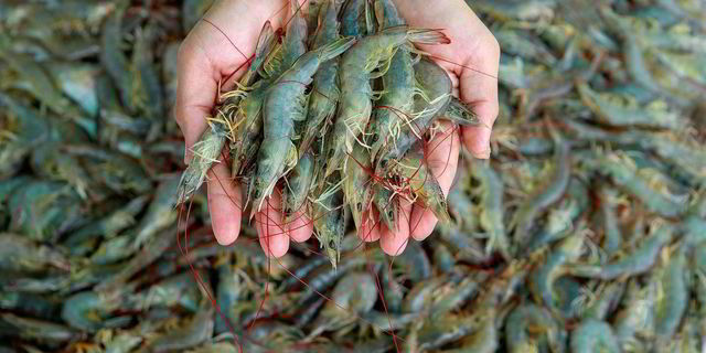Shrimp pharmaceuticals