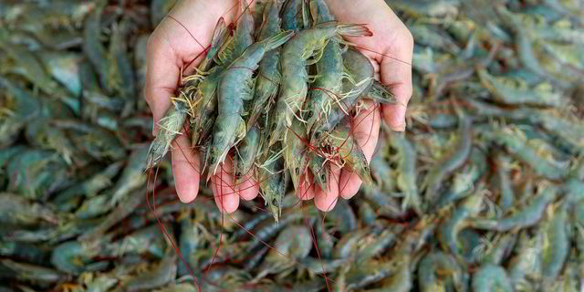 Shrimp pharmaceuticals Shrimp pharmaceuticals
