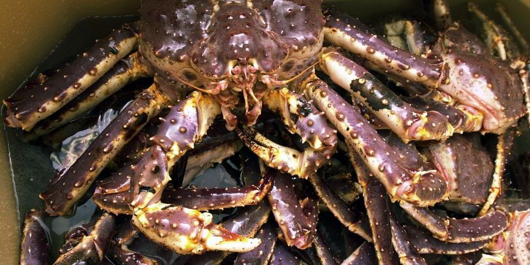 Huge rise in Russian king crab, opilio quotas to help offset Alaska