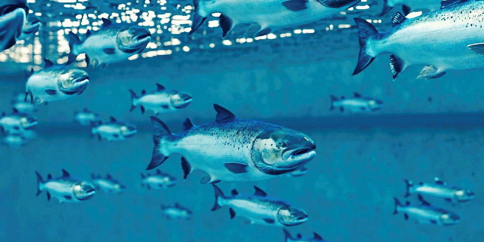 New report! Land-based Salmon Farming: Aquaculture's New Disrupter ...
