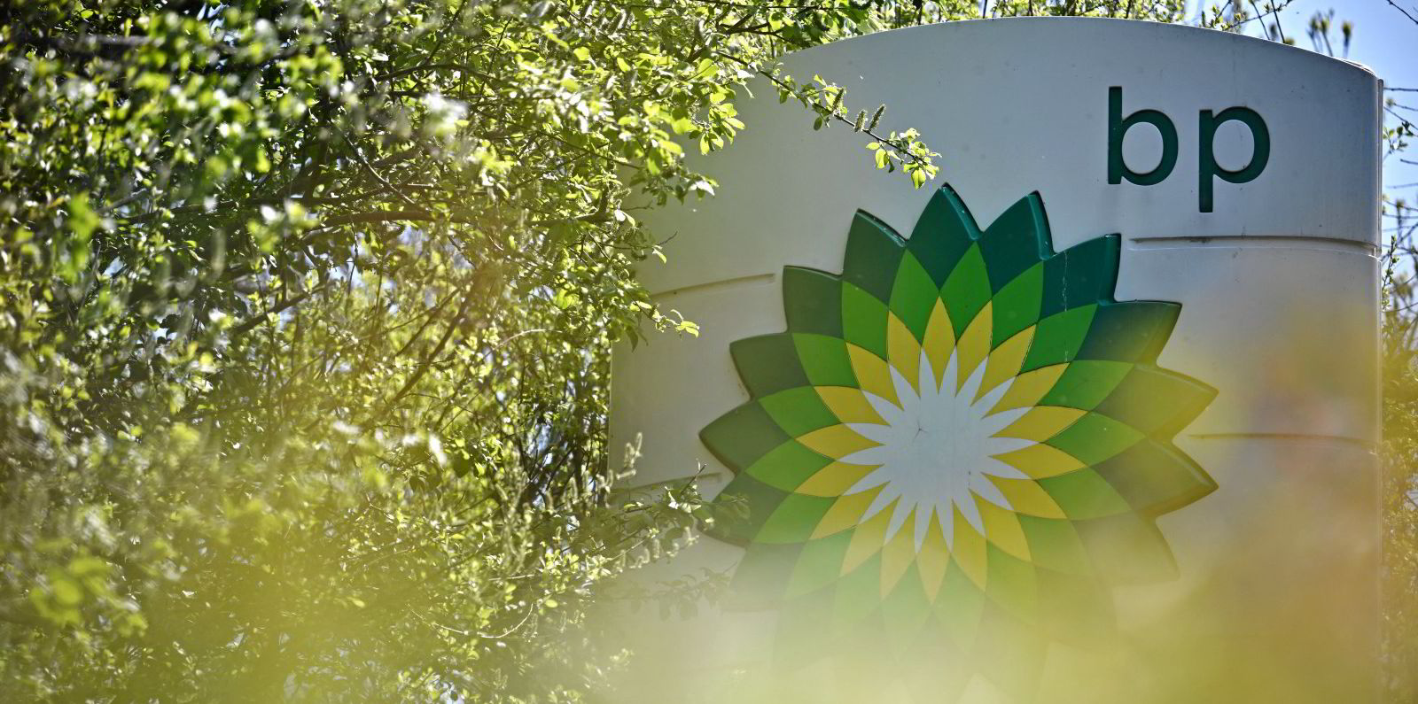 Oil giant BP swoops for largest stake in $36bn green hydrogen mega