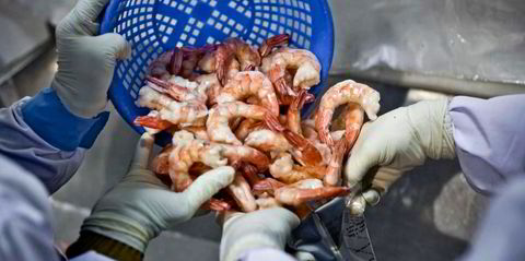 shrimp - Prices and Promotions - Apr 2024