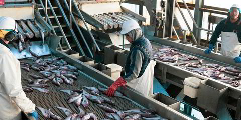 Markets Archive Archives - Fish Farmer Magazine