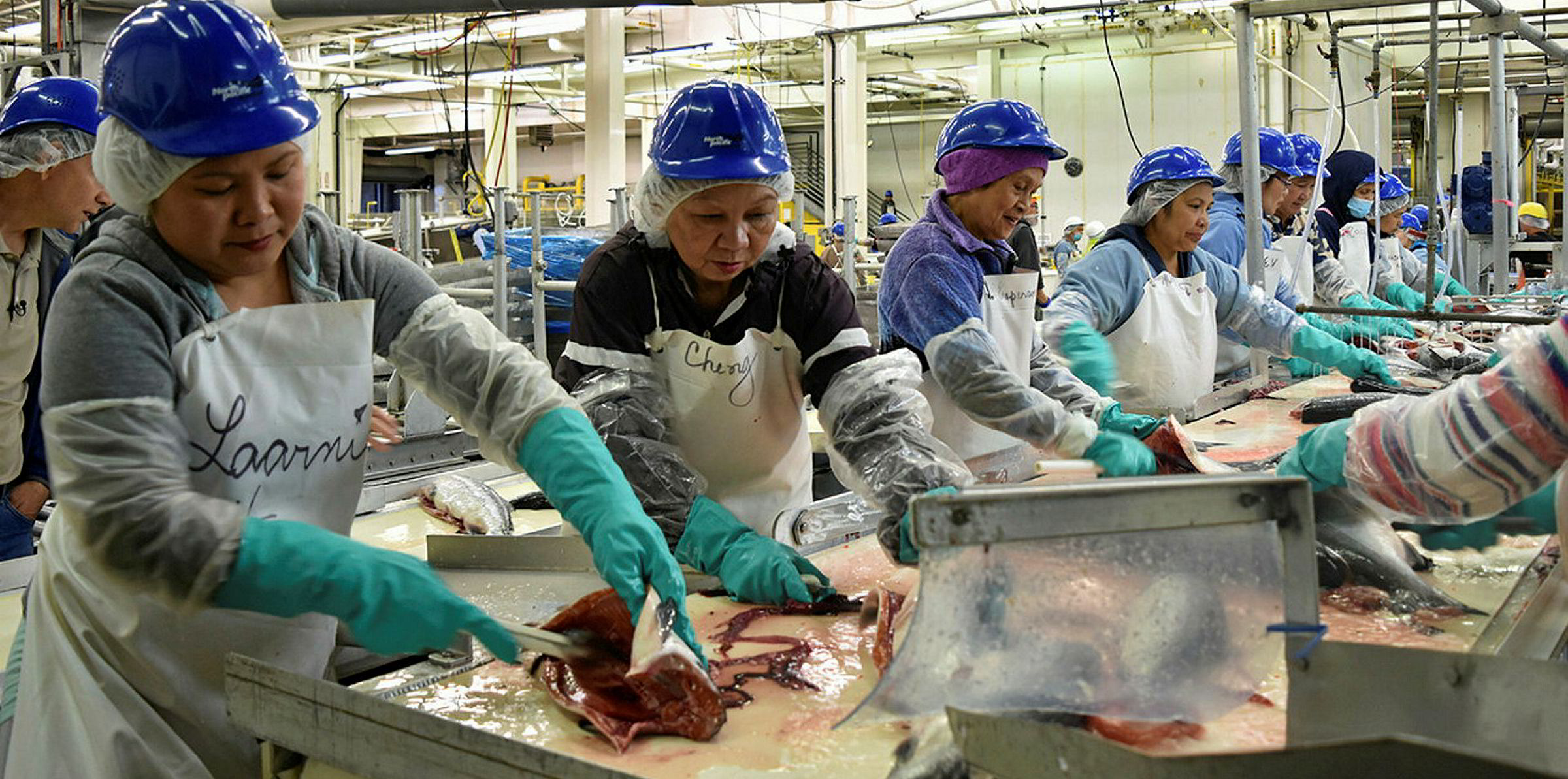 Japanese giant Marubeni's seafood operations escape dire overall