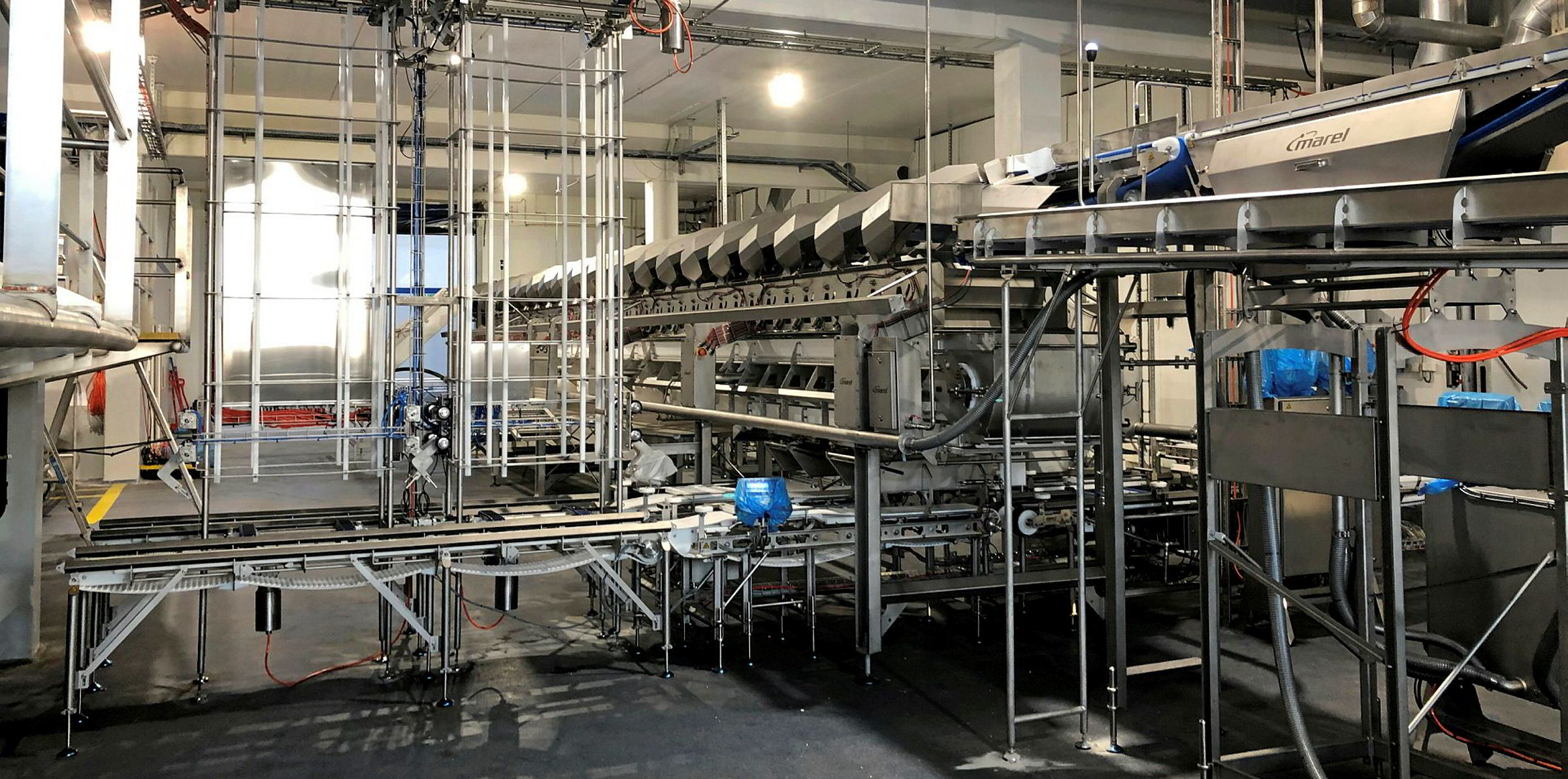 Hofseth expects to double salmon production with new processing ...