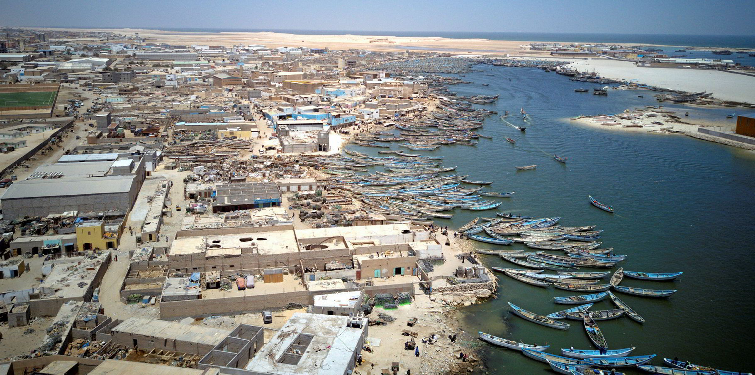 Nouadhibou Marine Life