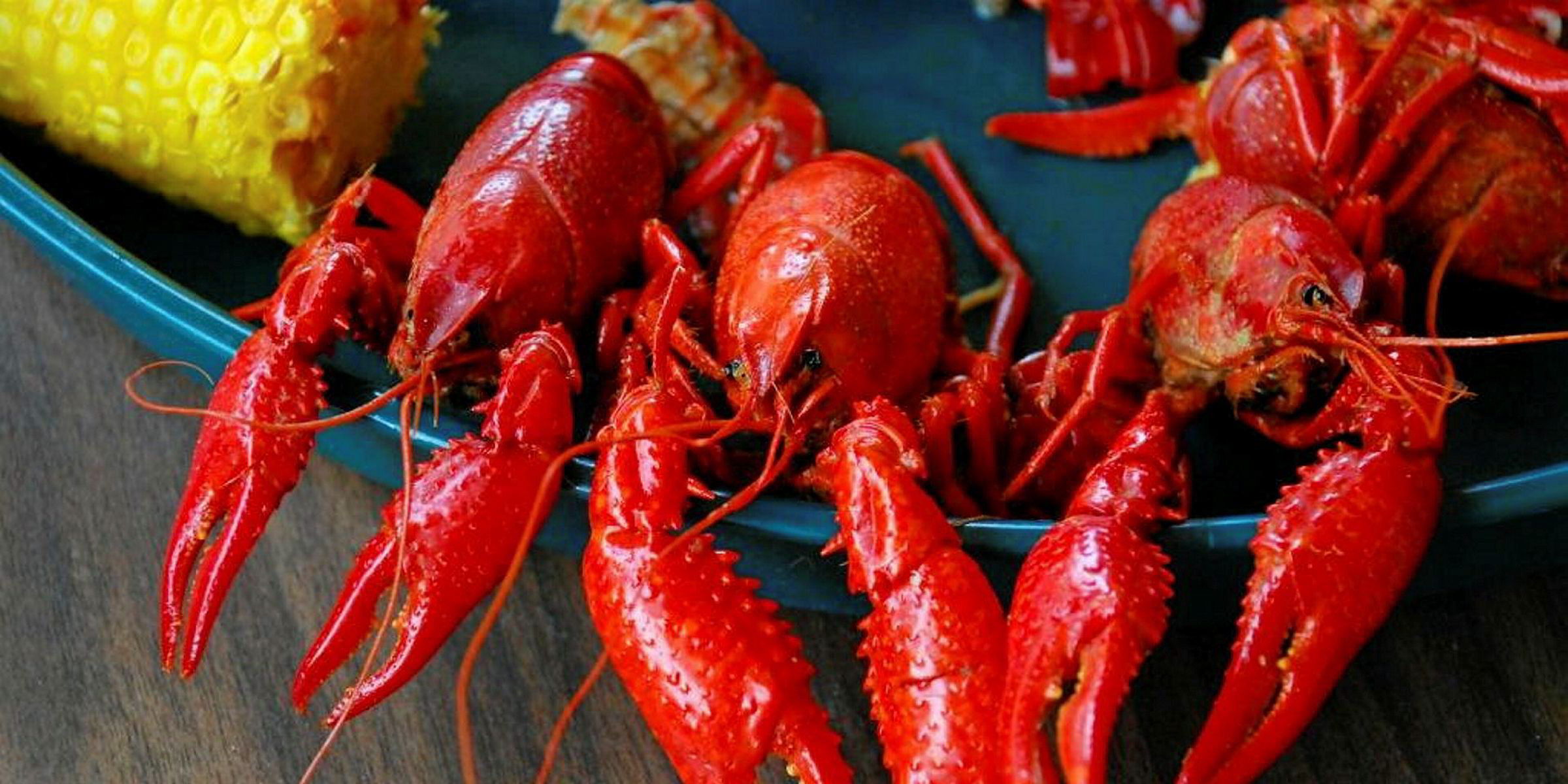 Открываем раковою. Crayfish. Album Cover Crayfish.