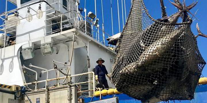 New fishing certification program hires former Bumble Bee sustainability director - Vimarsana News