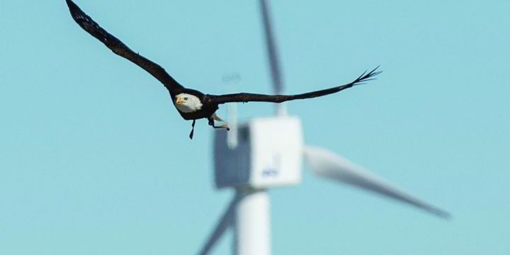 US 'wake steering' first on Longroad wind farms points to big boost for ...