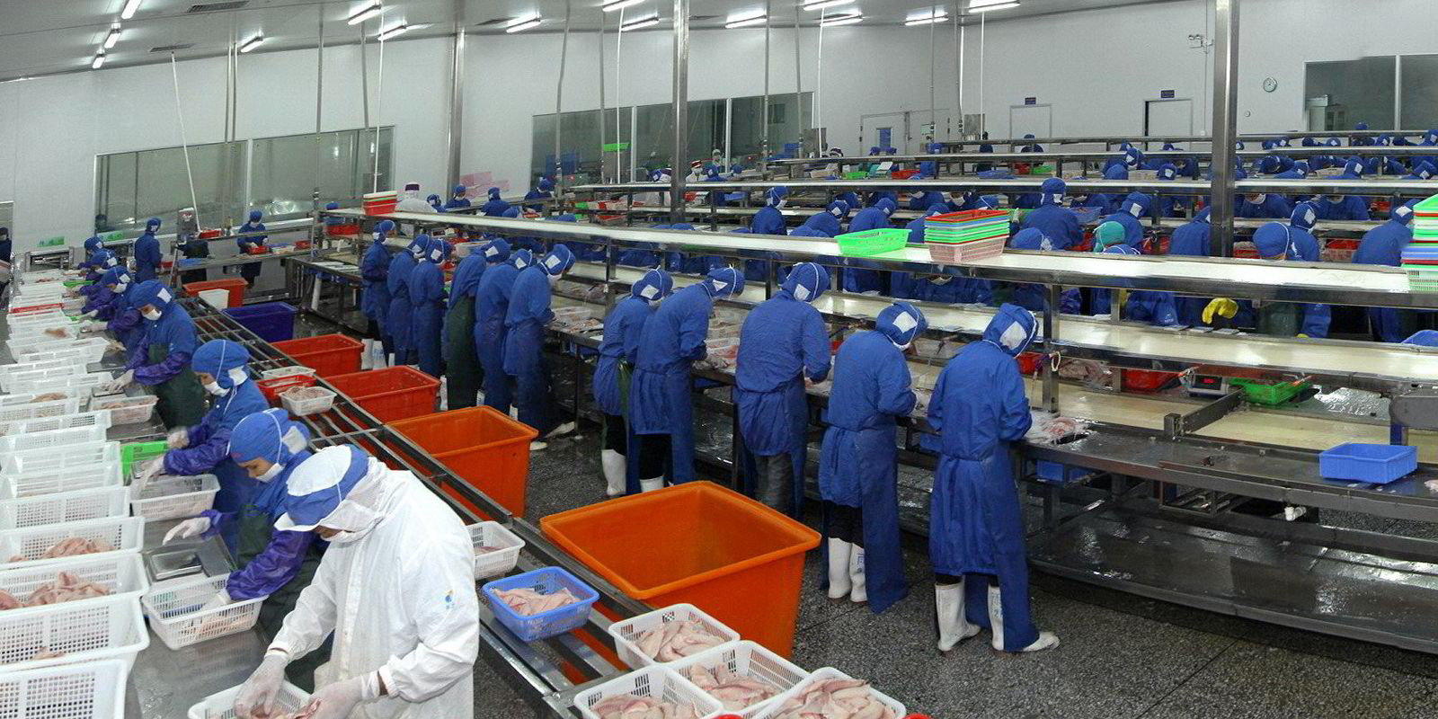 Chinese tilapia titan plows $37 million new seafood processing plant | IntraFish.com