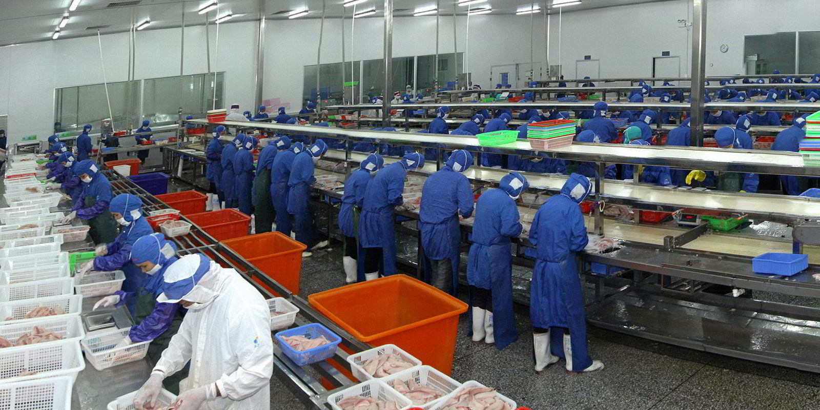 Chinese tilapia titan plows 37 million into new seafood processing
