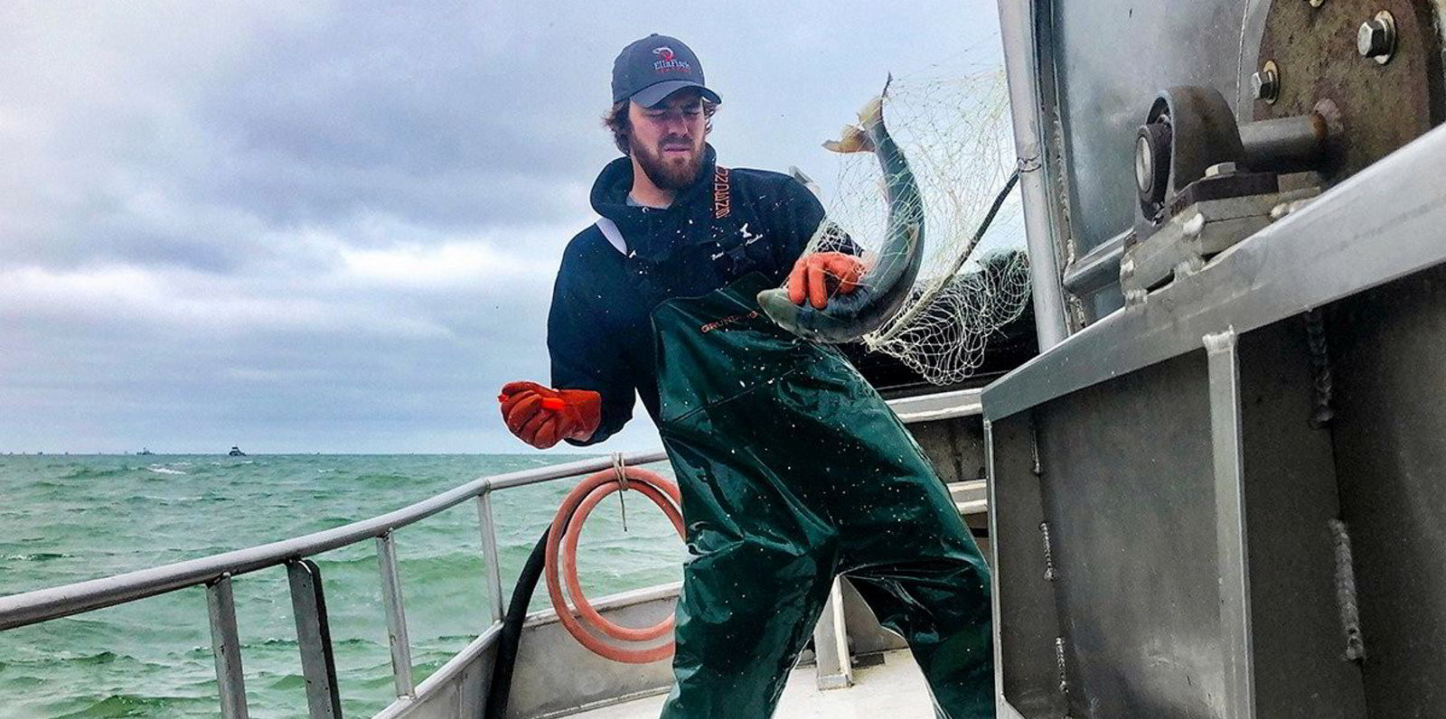 Which processors paid the highest prices for Bristol Bay sockeye salmon