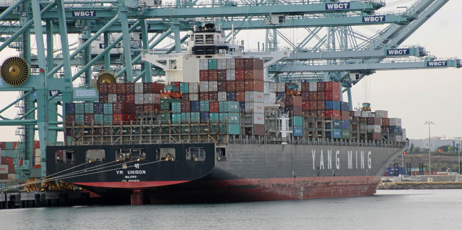 Yang Ming seeks more containerships as newbuild wish list tops 3bn