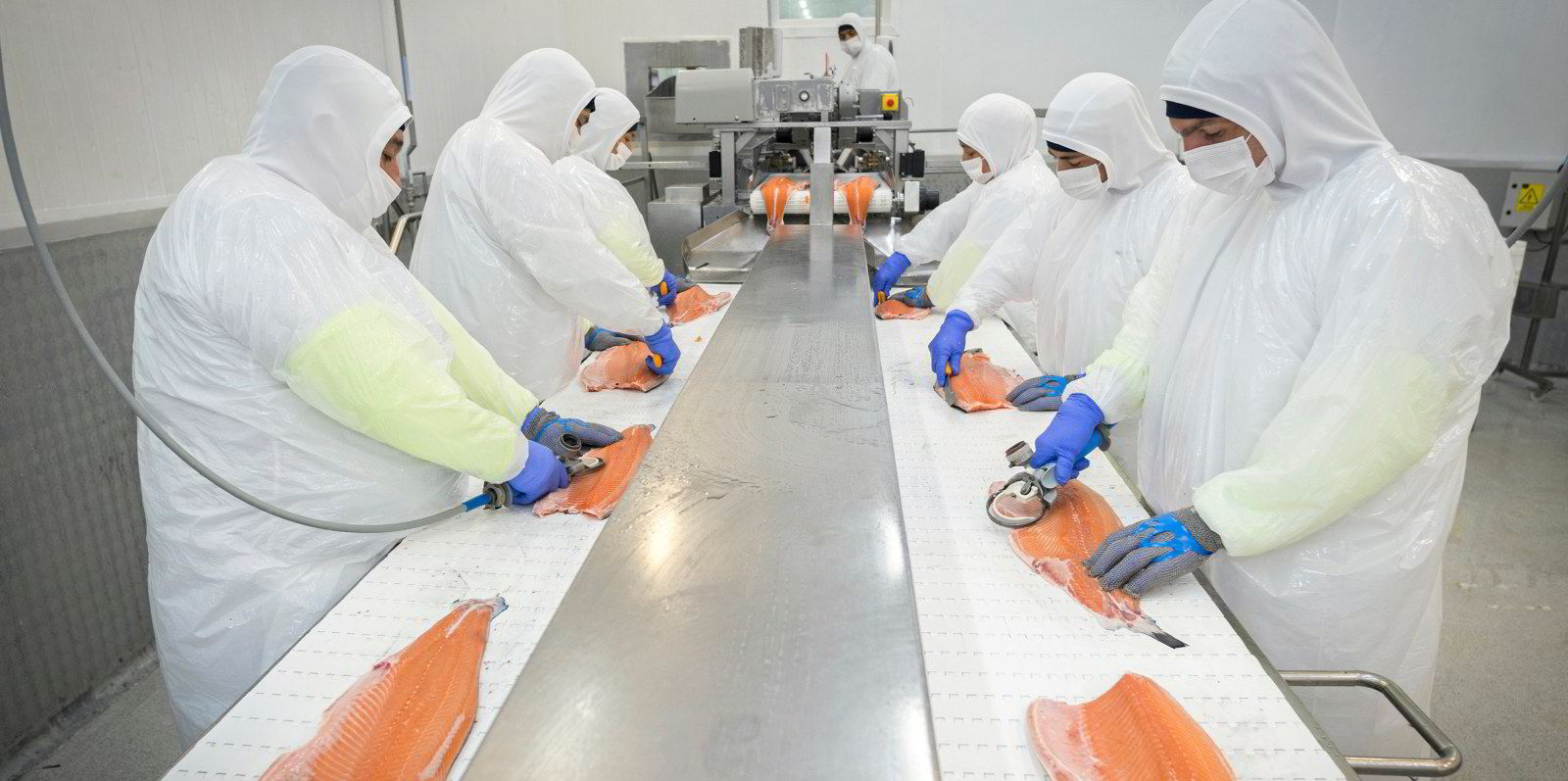 Norway farmed salmon prices take 'completely silly' jump | IntraFish.com
