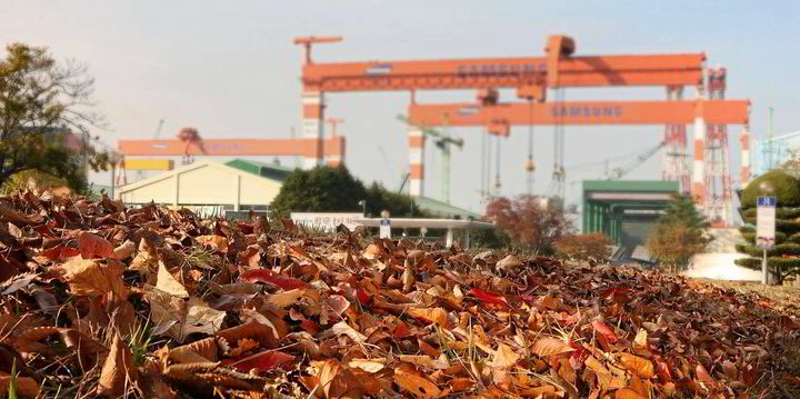 JP Morgan inks LNG carrier duo as it boosts newbuilding orderbook - Vimarsana News
