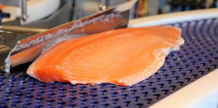 Norway salmon prices rise, but low-quality fish abound | IntraFish.com