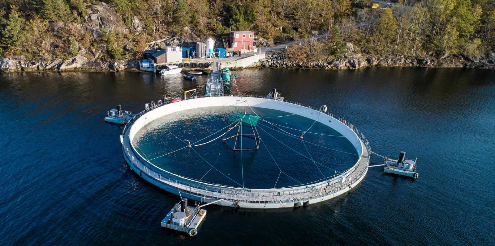 Mowi ready to deploy new tank technology after shuttering Scottish salmon farming site