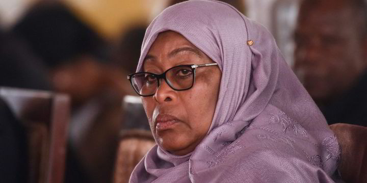 Tanzania's new leader puts LNG scheme in frame - Vimarsana News
