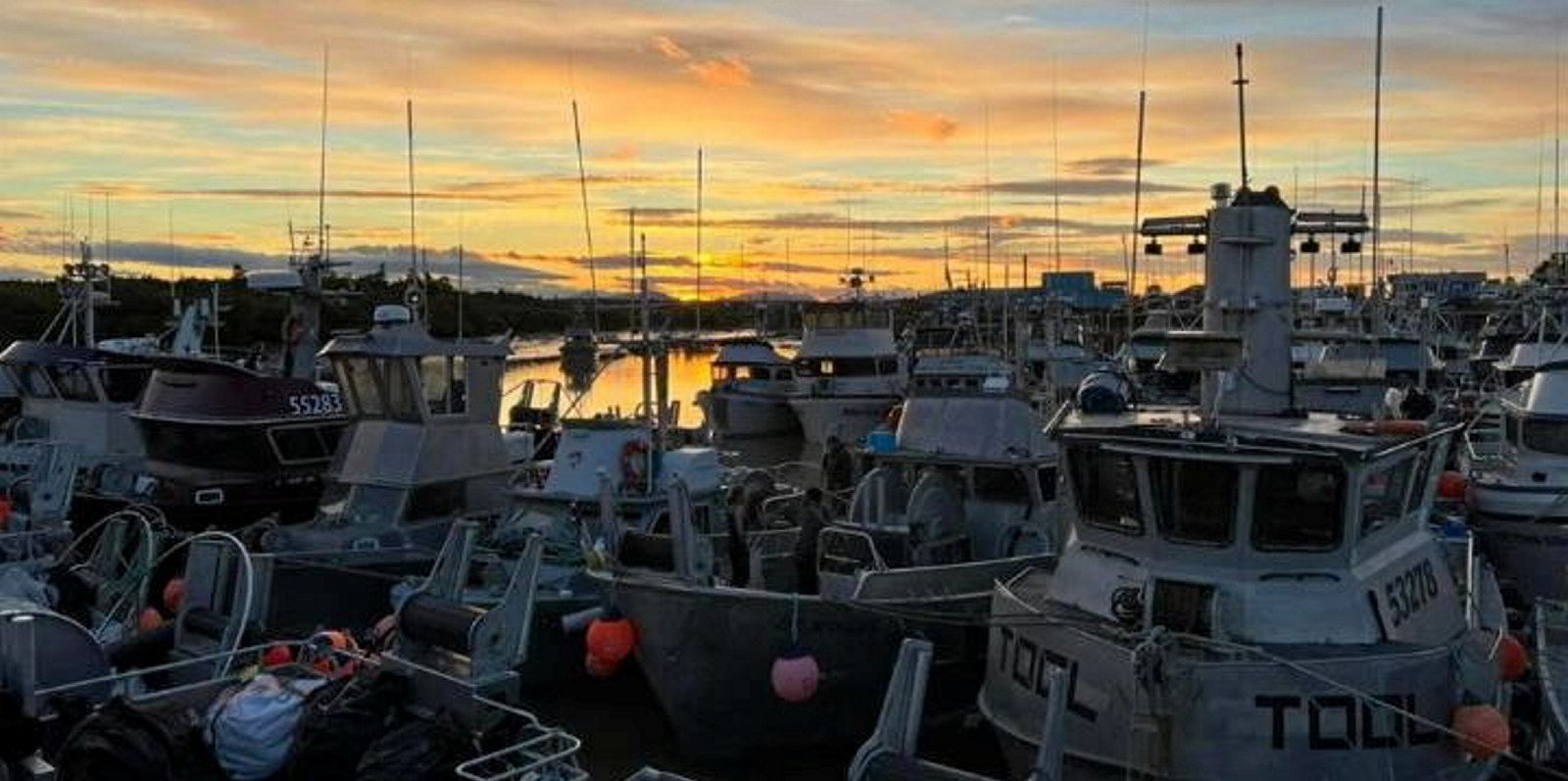Bristol Bay fishermen eagerly await massive sockeye haul as preseason