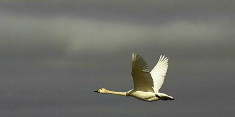 Chanchai Ruayrungruang - Latest oil and gas news | Upstream Online